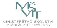 MSMT Logo